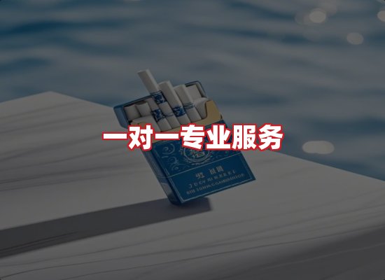 专业团队